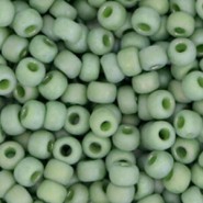 Miyuki rocailles Perlen 6/0 - Opaque glazed frosted pistachio green 6-4698